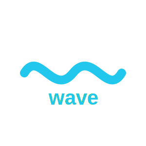 Wave Integration with UAE FTA E-Invoicing